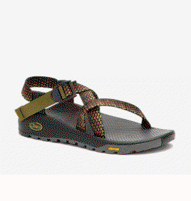 New Arrivals MI_Crop4