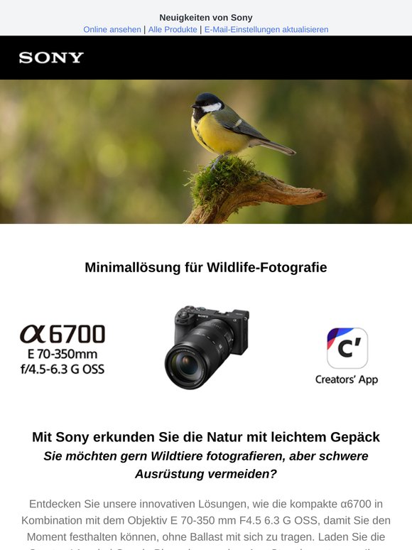 α6700 für Wildlife-Fotografie