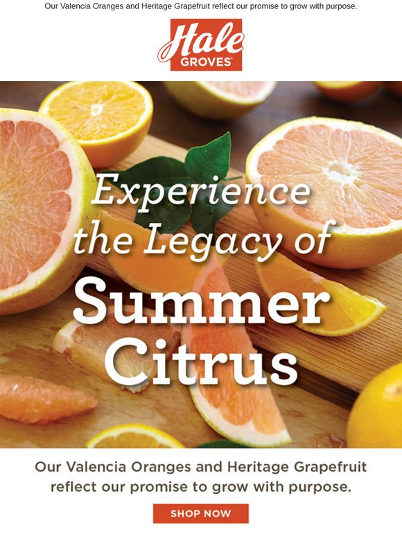 Experience the Legacy of Summer Citrus 🍊