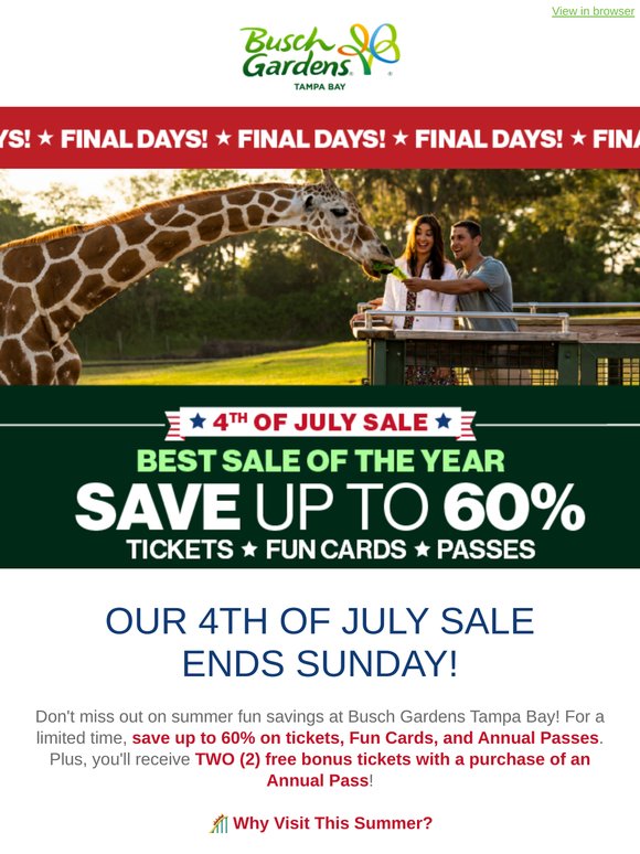 ⏳ FINAL DAYS: Save up to 60% on Passes, Fun Cards & Tickets!
