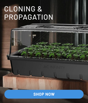 Cloning & Propagation | Shop Now