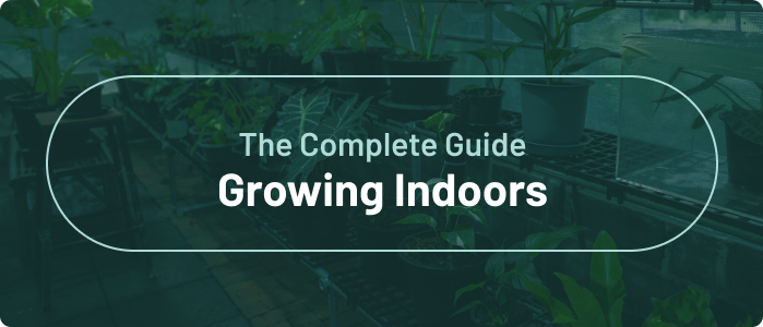 The Complete Guide Growing Indoors