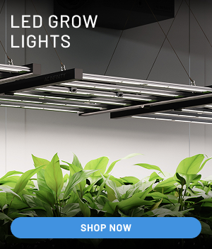 LED Grow Lights | Shop Now