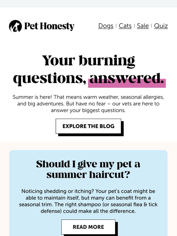 🩺 Ask a Vet: Summer health tips