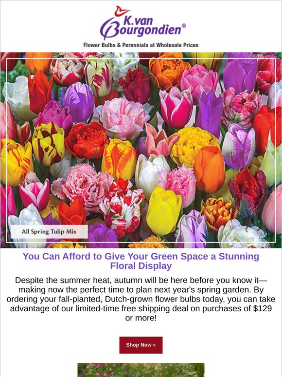 Load up on Fall Bulbs Now & Save on Shipping!