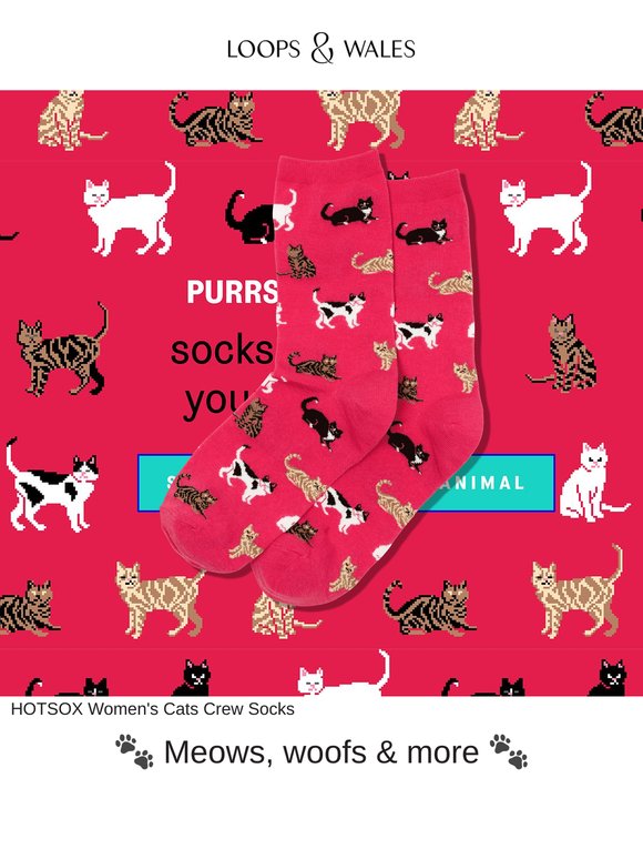 🐈 Calling all cat sock lovers 🐈‍⬛