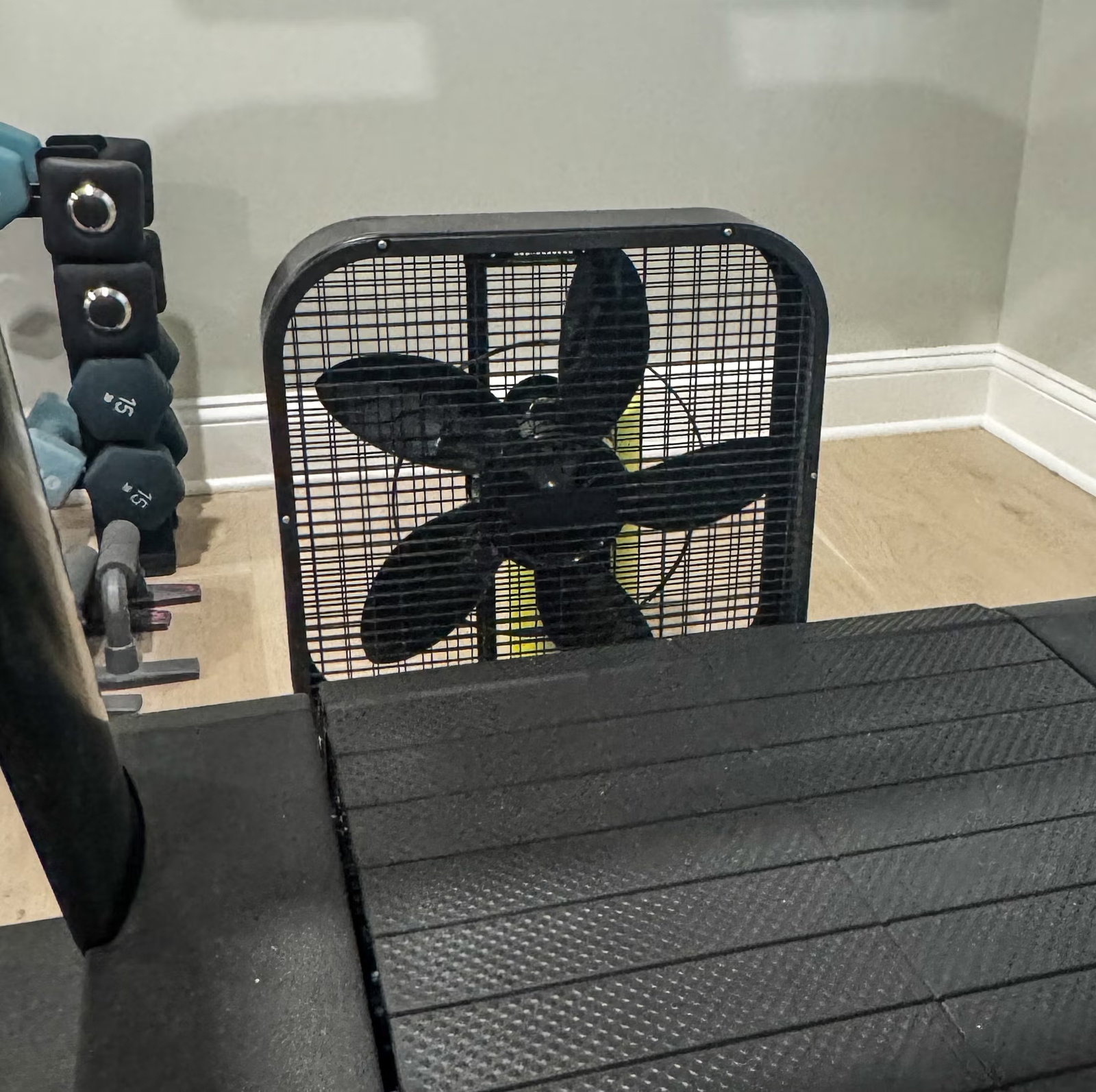 This One, Super Affordable Upgrade Made My Treadmill Runs Downright Bearable