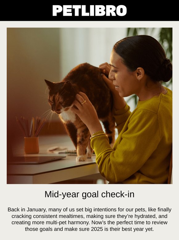 Mid-year goal check-in