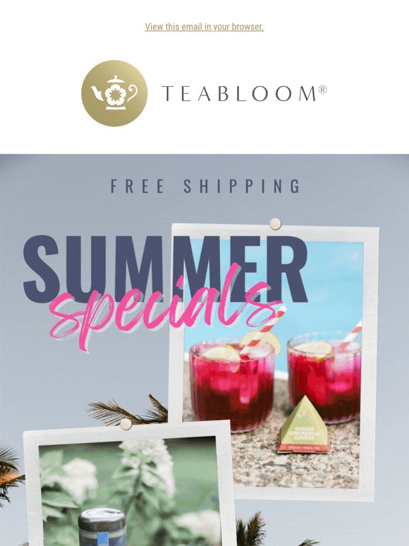 Dive Into Summer Deals! ☀️
