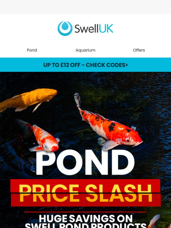 🚨 POND PRICE SLASH 🚨