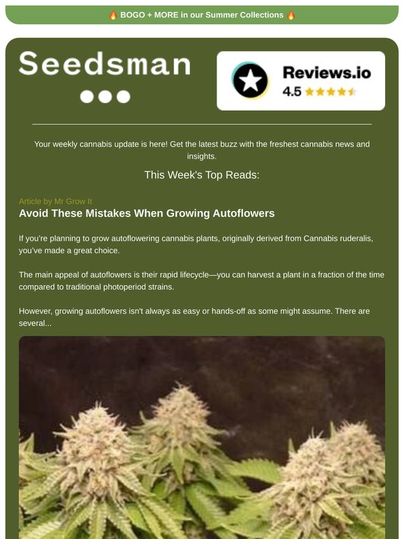 📬 Weekly Newsletter 📬