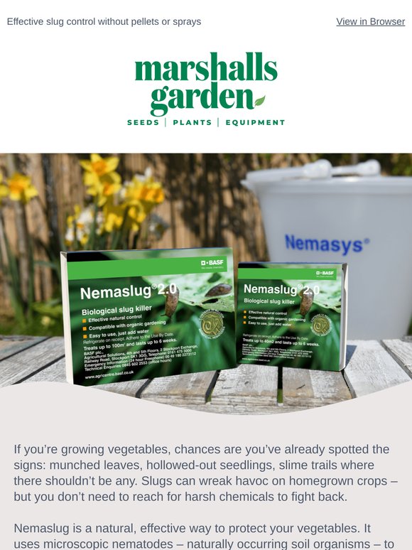 for you, protect your vegetables with Nemaslug
