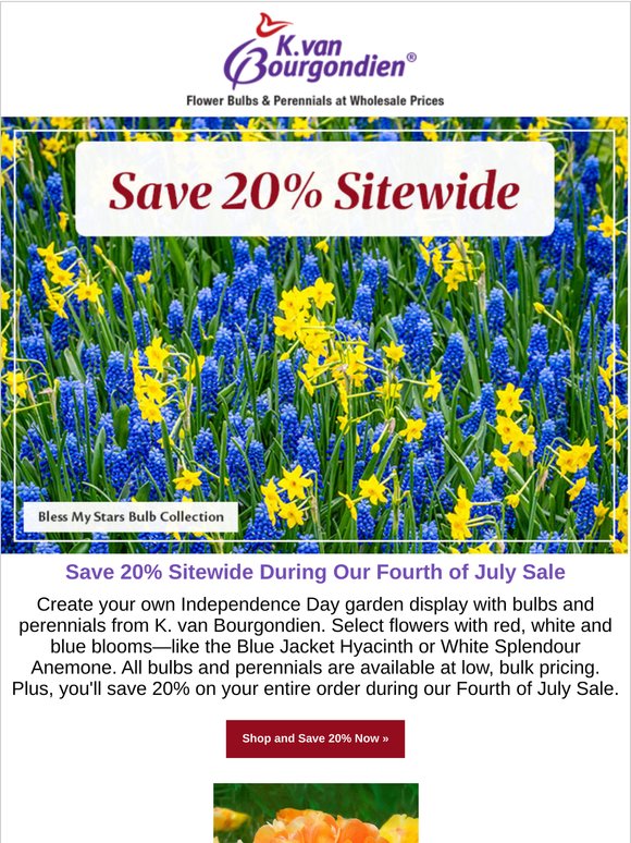 Add some pizzazz to your garden...