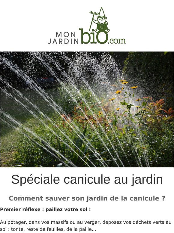 ÉDITION SPÉCIALE : Comment sauver son jardin de la canicule ? 🌡️