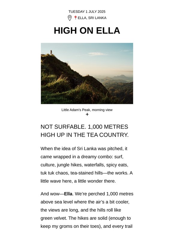 : : High on Ella