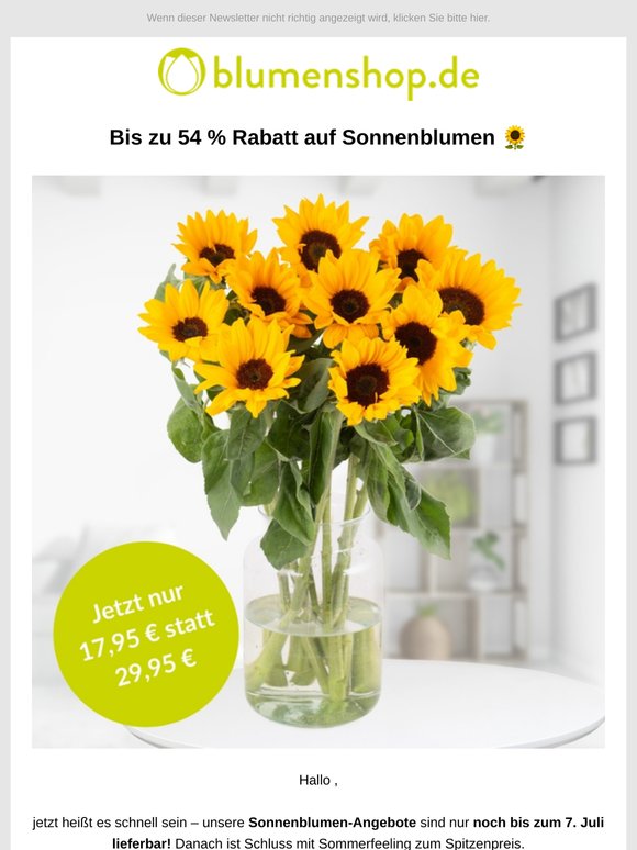 Letzte Chance: Sonnenblumen-Angebote, ! 🌻