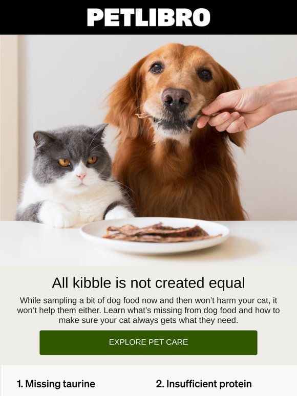 Is it okay if your cat samples your dog’s food?