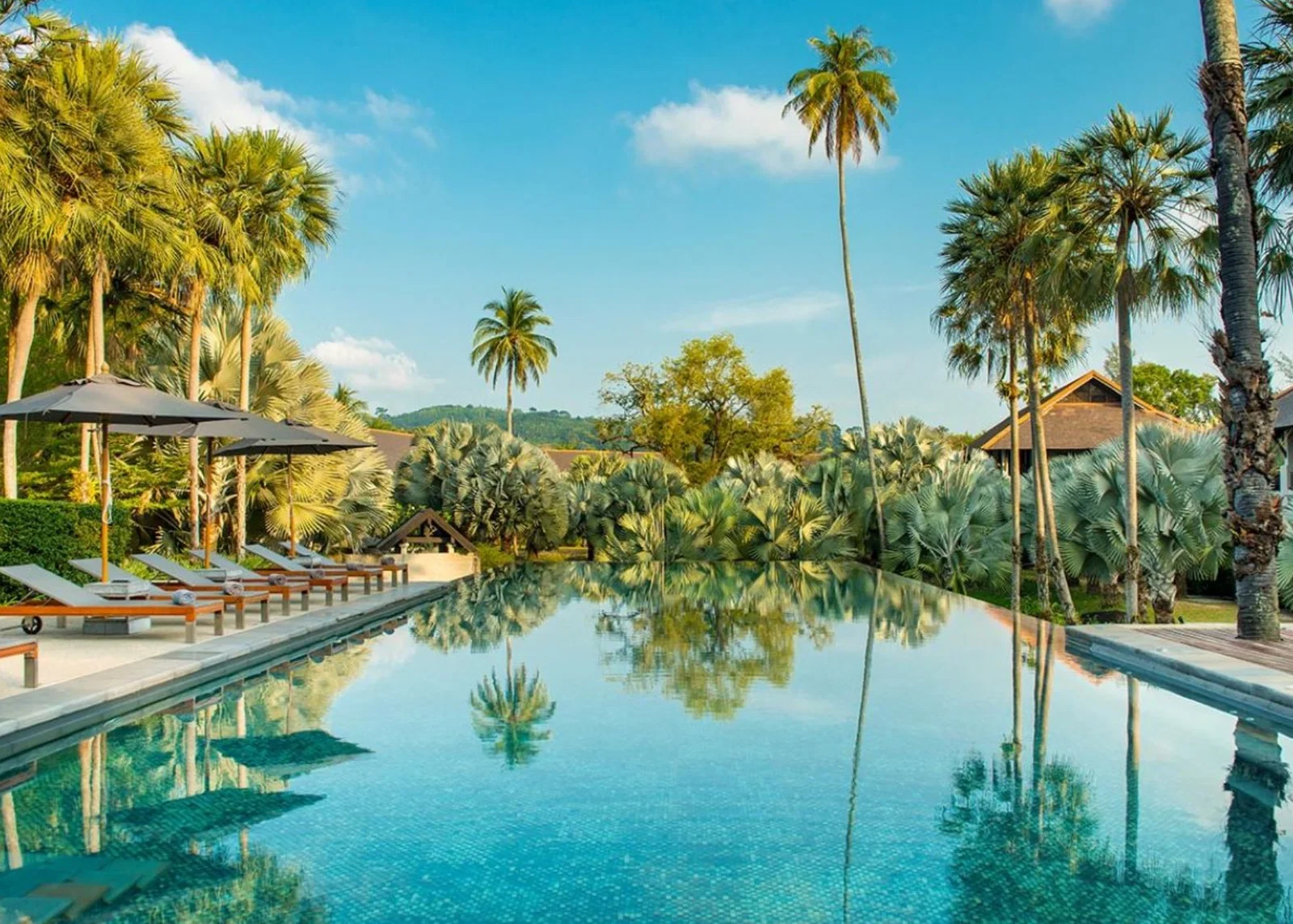 Palm-fringed pool at The Slate