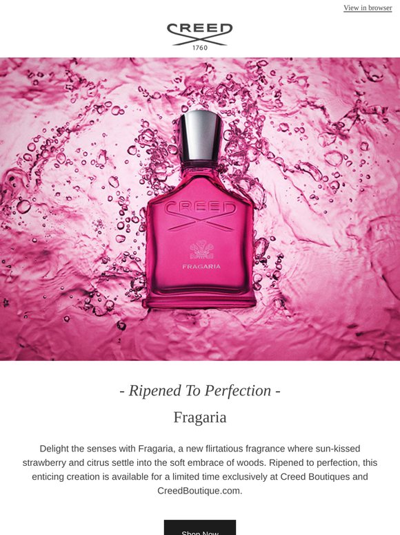 A New Summer Spotlight | Fragaria