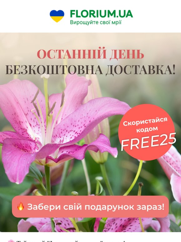 🔥 Ще 24 години: 0 грн за доставку та знижки -100%!