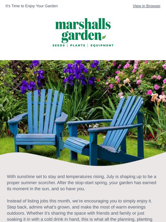 July in The Potting Shed