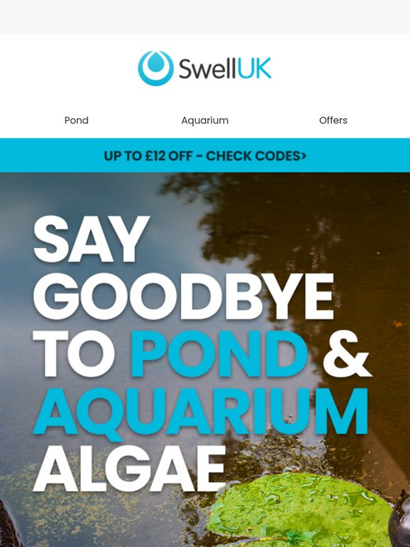 Pond & Aquarium Algae Treatments