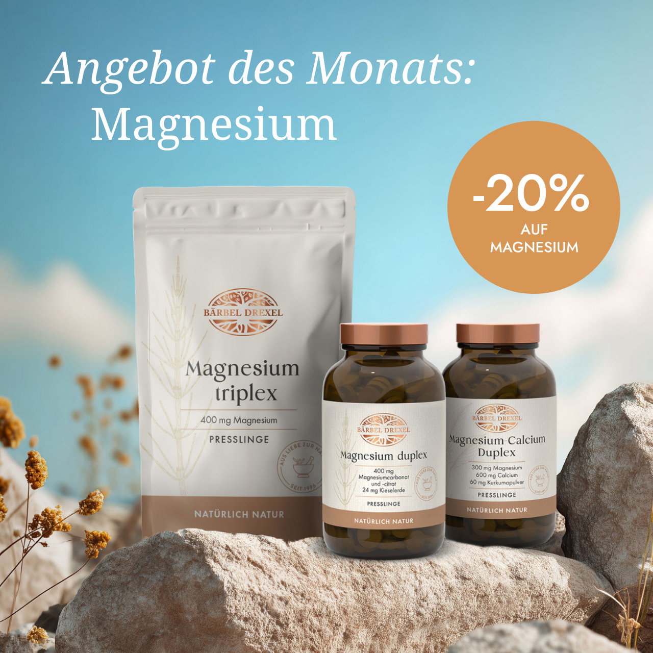 Mindestens -20% auf alle Magnesium-Produkte im Angebot des Monats