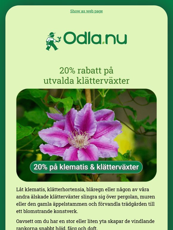 Få 20 % rabatt på klematis & klätterväxter  😍