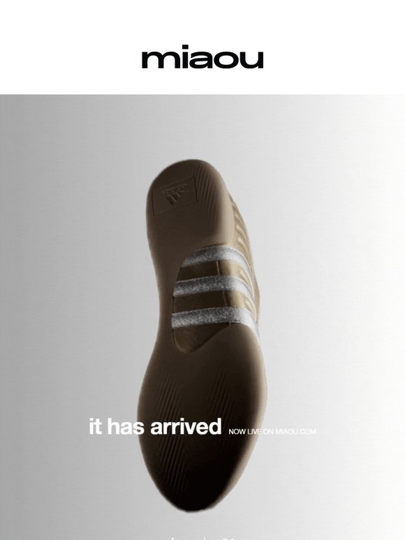 THE SHOE DROP IS LIVE