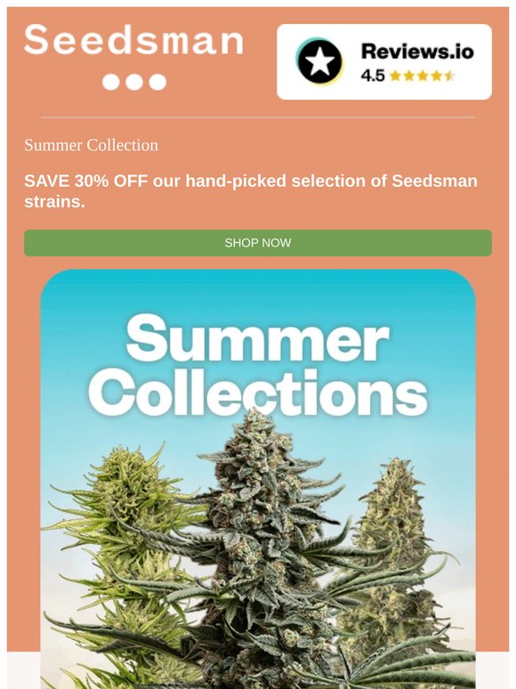 🔥 Fresh Summer Collections 🔥