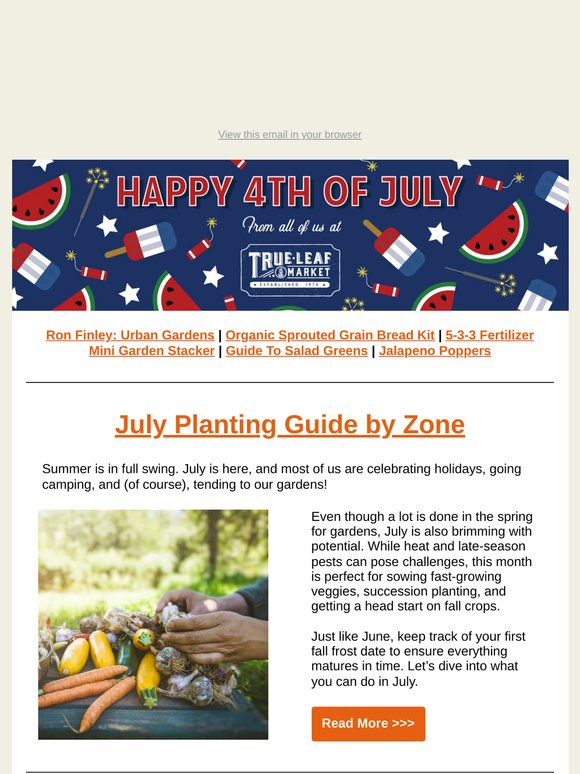 Your Summer Planting Guide Is Here! & DIY Soymilk! | TLM Newsletter