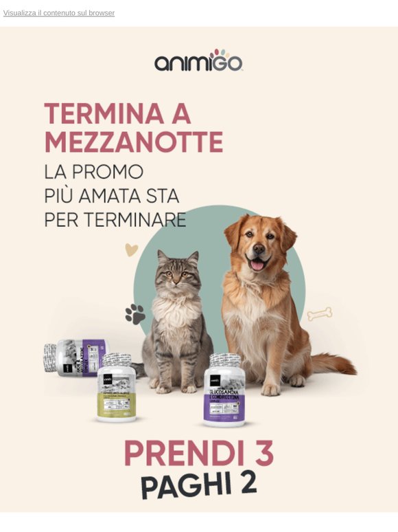 Il 3x2 Animigo Termina a Mezzanotte  ⌛