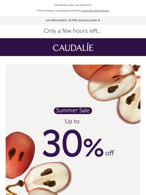 ⏳ Summer Sale: up to 30% off ⏳