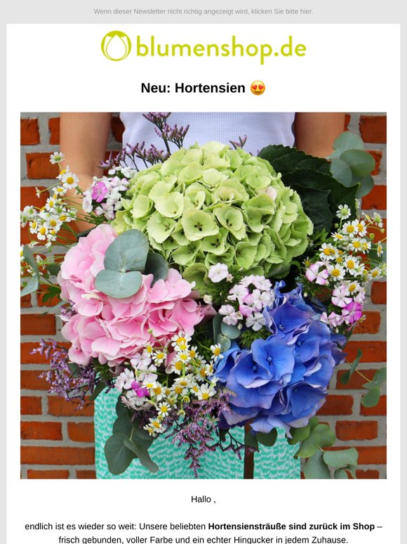 Neu: Sommerliche Hortensiensträuße, ! 😍