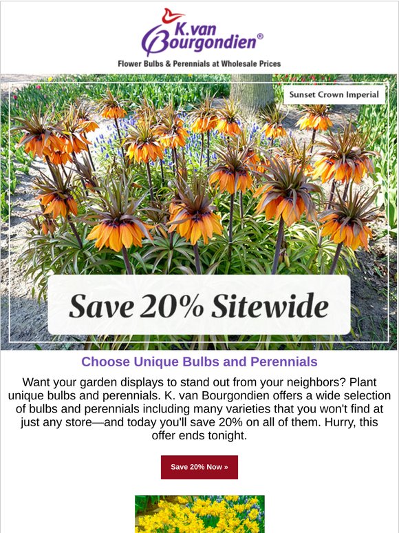 Dare to be different—and save 20%