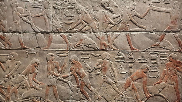 A limestone relief from the Old Kingdom of Ancient Egypt depicting a cattle-butchering scene.