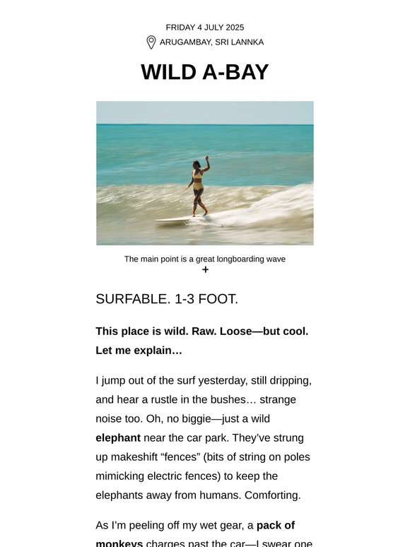 : : Wild A-Bay