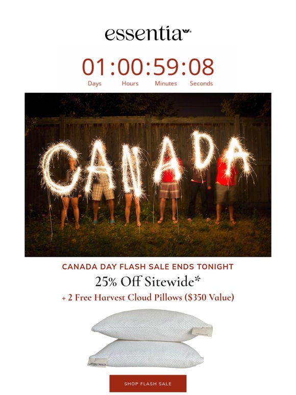 Flash Sale: 25% Off Sitewide + 2 Free Pillows Ends Tonight ⏳