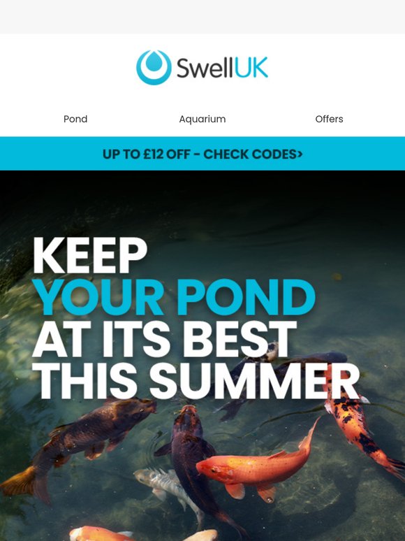Keep Your Pond at Its Best This Summer