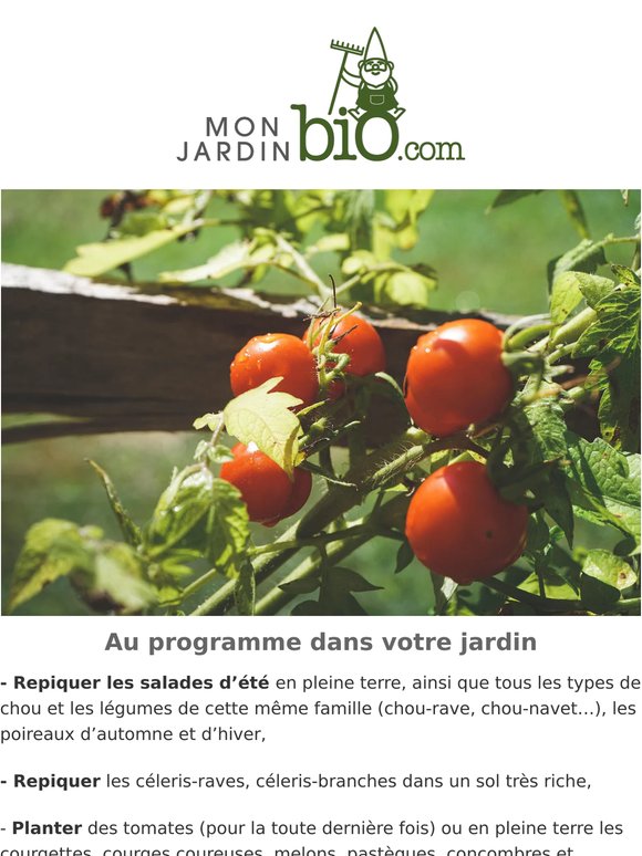 Derniers jours pour commander nos plants potager bio...