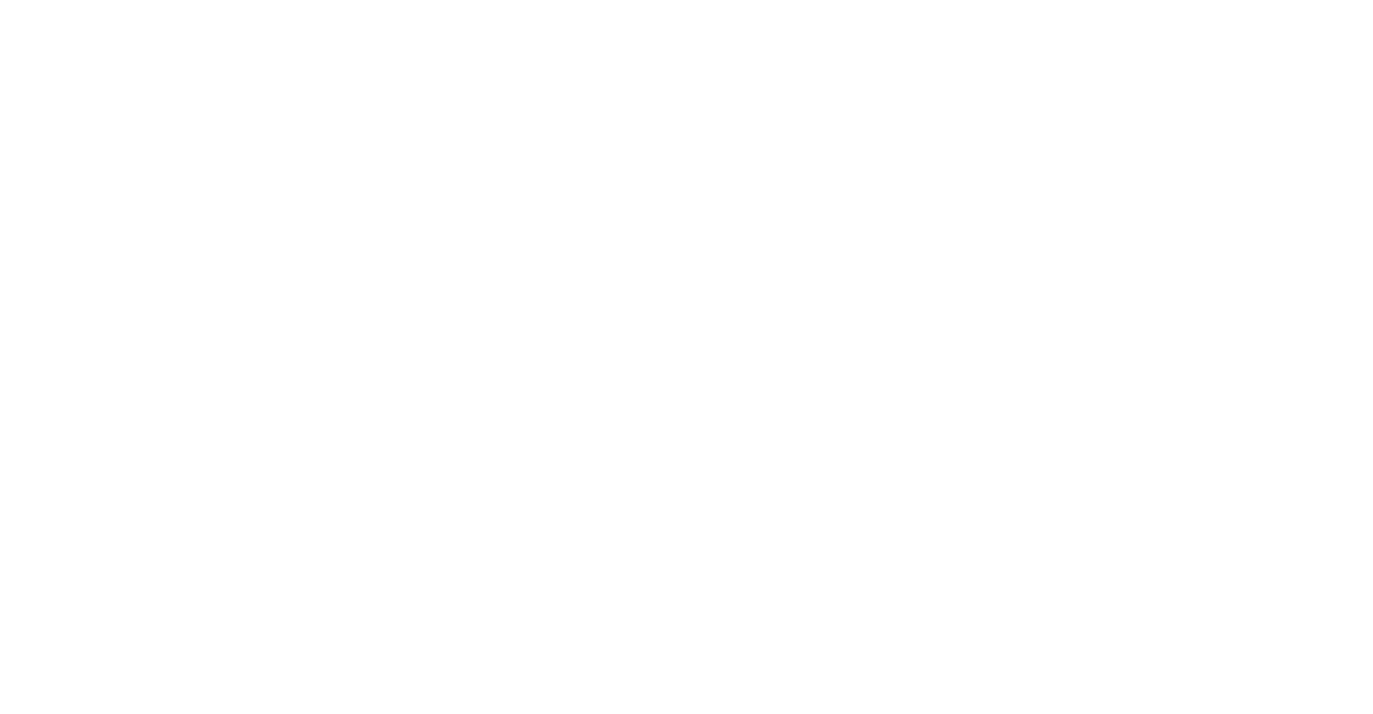 Everlast Logo