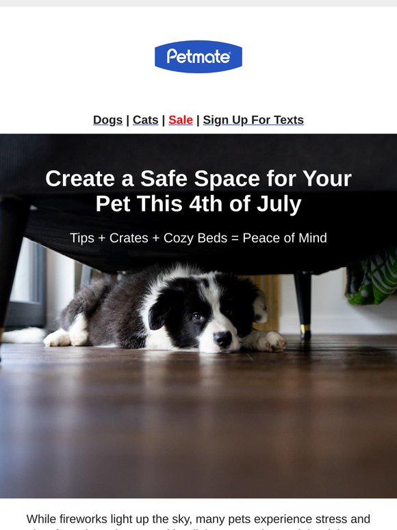 Fireworks Are Fun (for Us) Here’s How to Keep Pets Calm