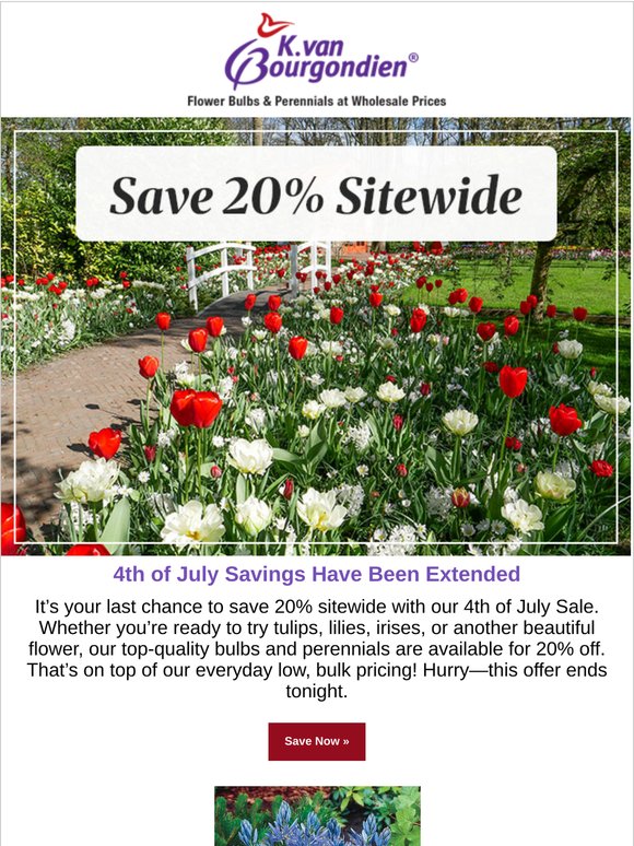 There’s still time to save