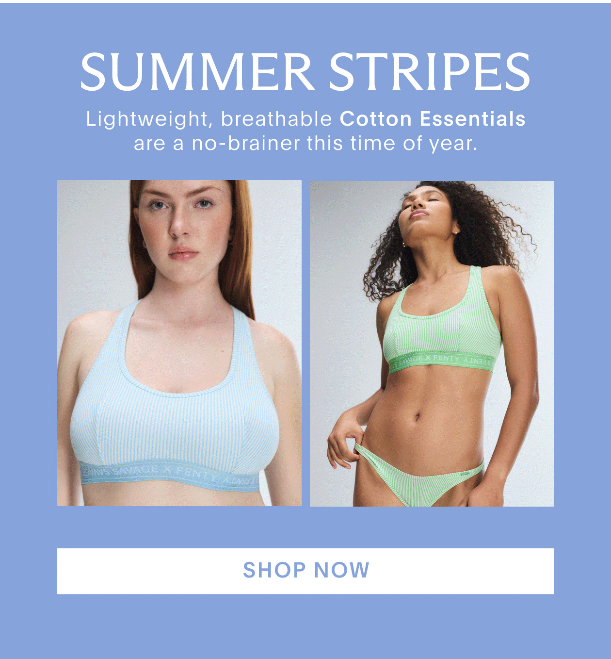 Shop Now