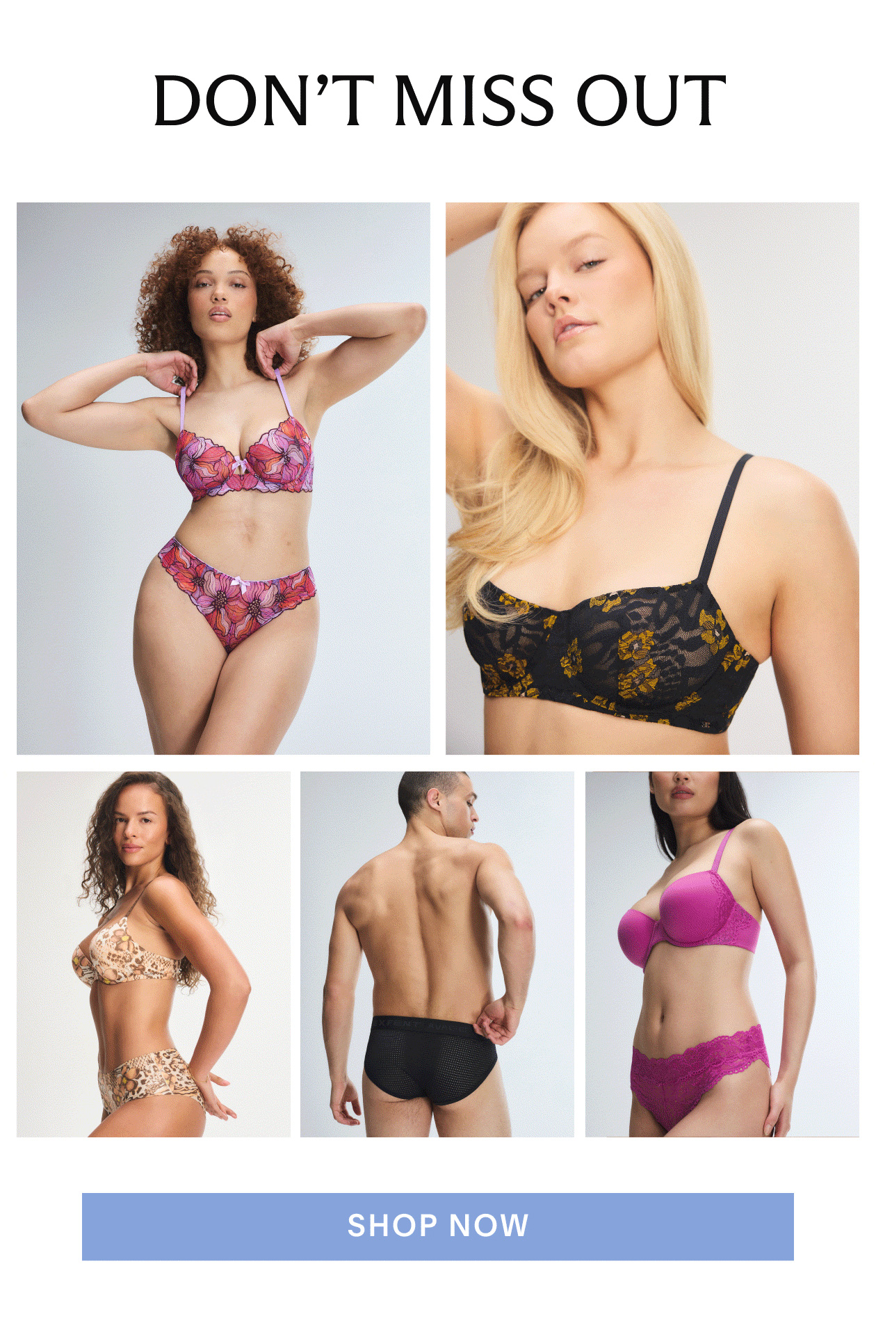 Shop Now