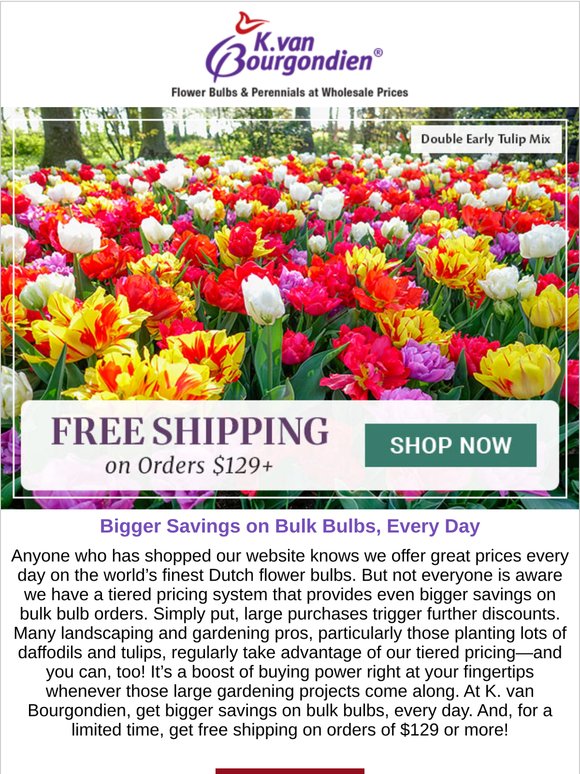 💰 Bigger savings on bulk bulbs, every day