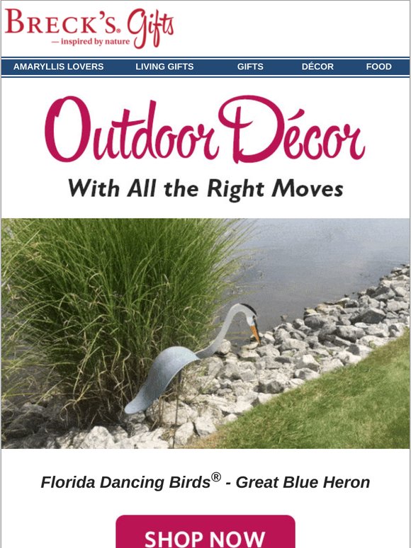 Our BIG, breeze-powered birds are back for summer!