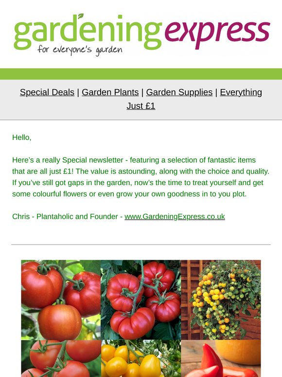 Everything is Just £1, yes, Just £1!