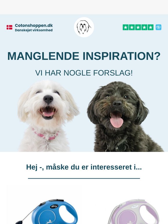 Lige noget for dig —!