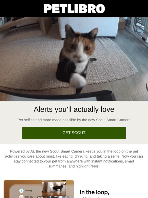Your pet can now say “hi”